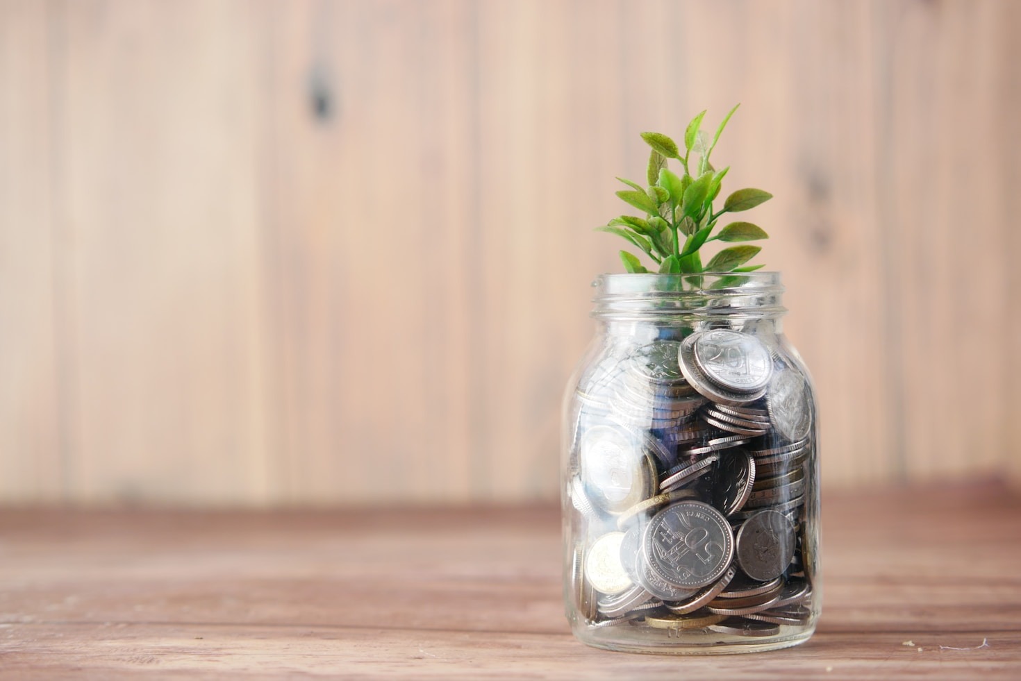 Balancing Fun and Frugality: A Student’s Guide